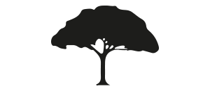 LE TILIA